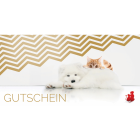 Hund Provital Werbematerial Zubehör Anifit 10 EUR Gutschein 1 Stück -2- Anifit